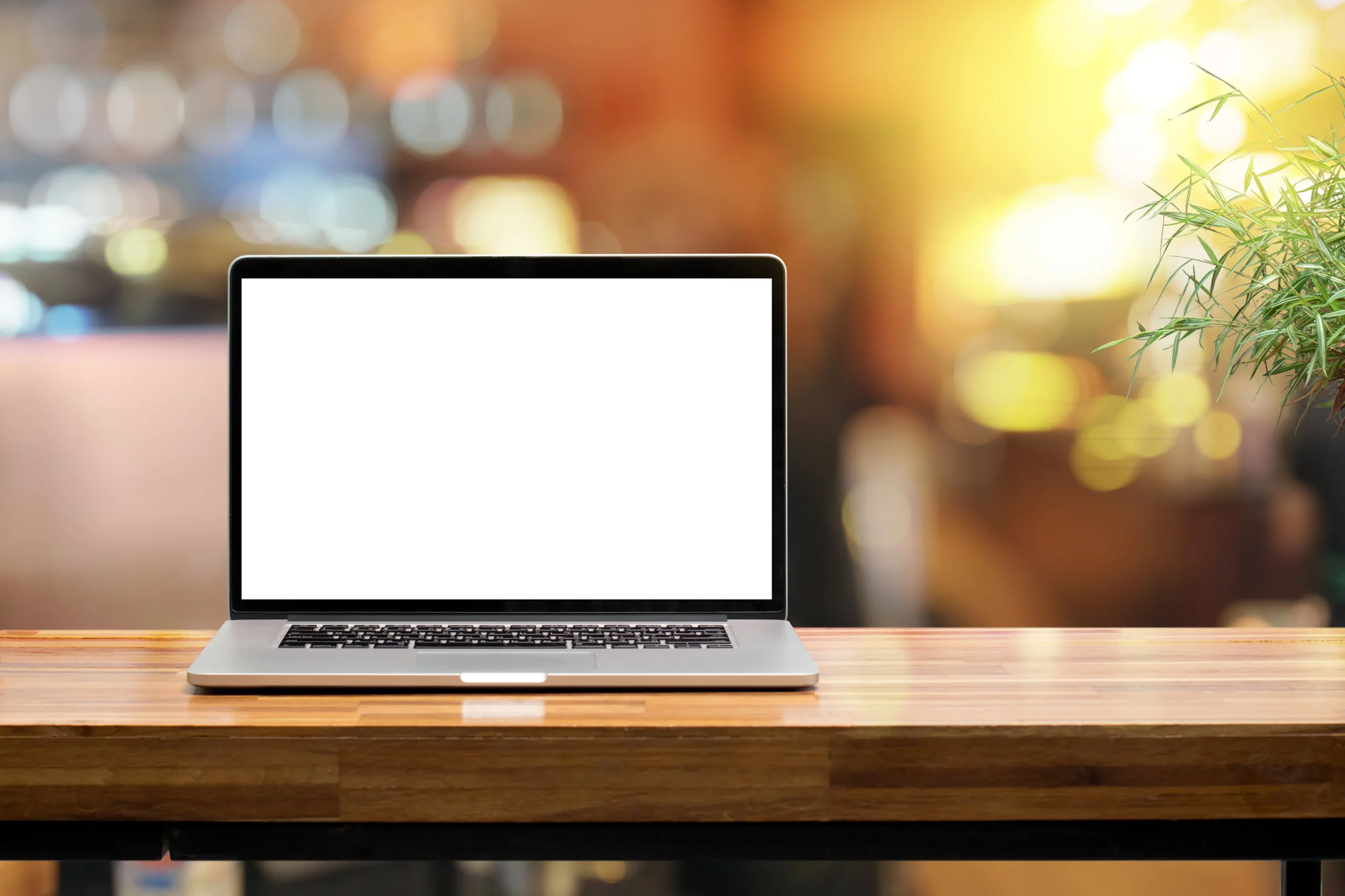 lms software